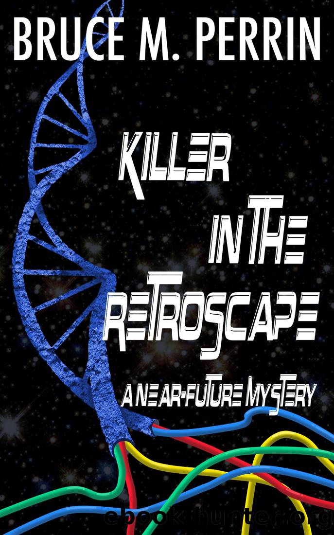 Killer in the Retroscape by Bruce M. Perrin