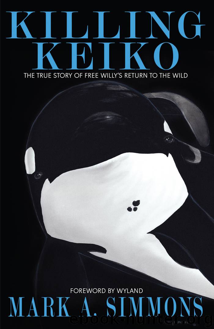 Killing Keiko by Mark Simmons