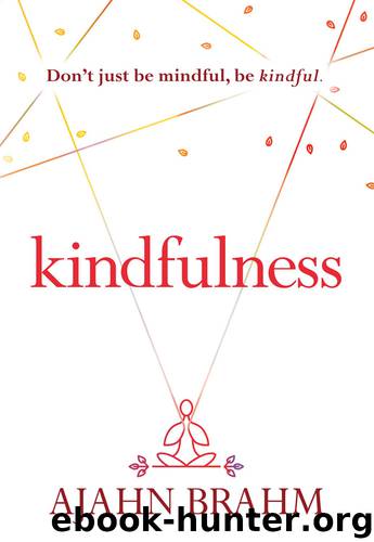Kindfulness by Brahm