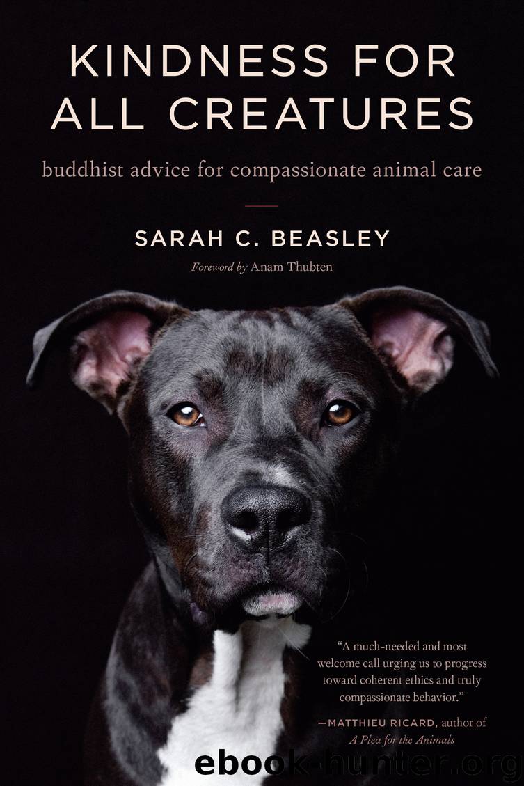 Kindness for All Creatures by Sarah C. Beasley & Anam Thubten