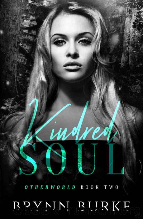 Kindred Soul (Otherworld Book 2) by Brynn Burke