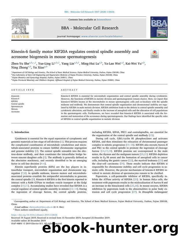 Kinesin-6 family motor KIF20A regulates central spindle assembly and acrosome biogenesis in mouse spermatogenesis by Zhen-Yu She & Yue-Ling Li & Yang Lin & Ming-Hui Lu & Ya-Lan Wei & Kai-Wei Yu & Ning Zhong & Yu Xiao