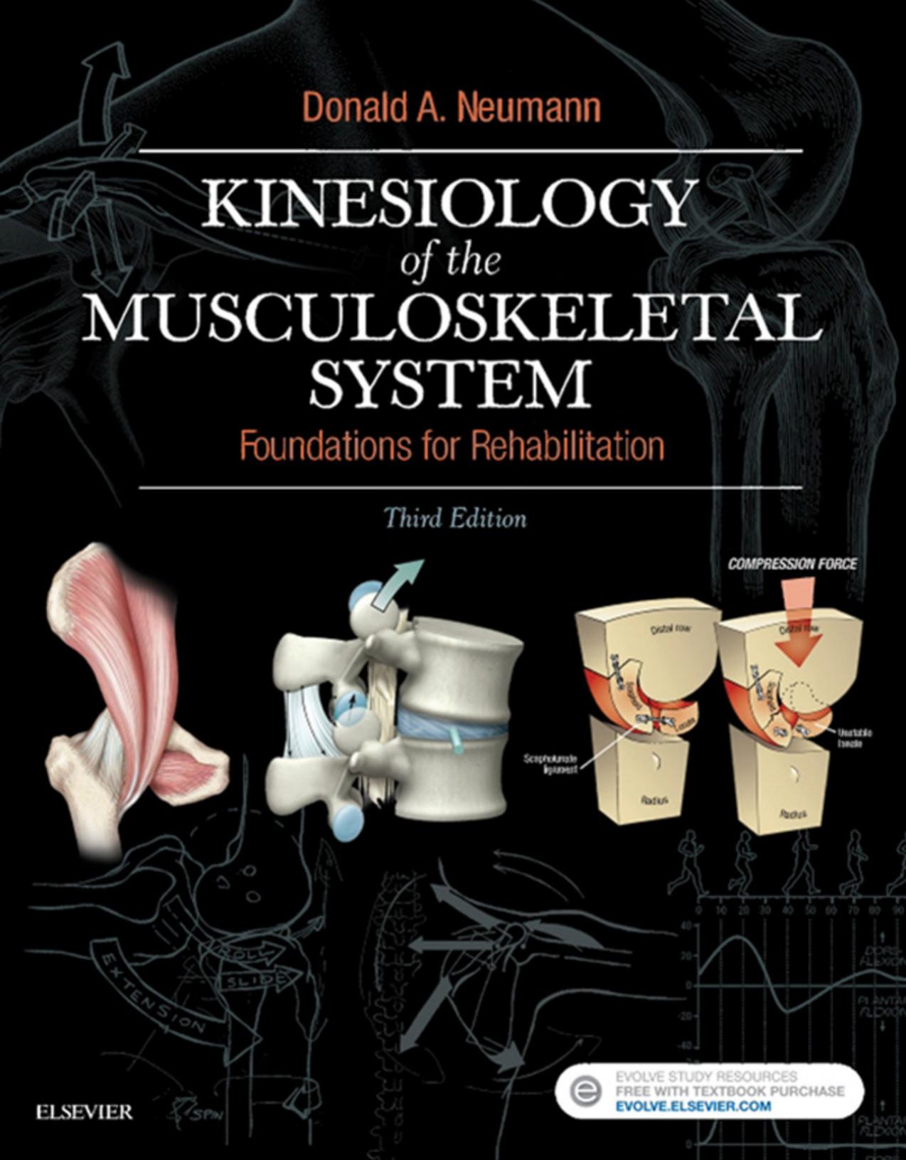 Kinesiology of the Musculoskeletal System 3rd Edition by Donald A. Neumann