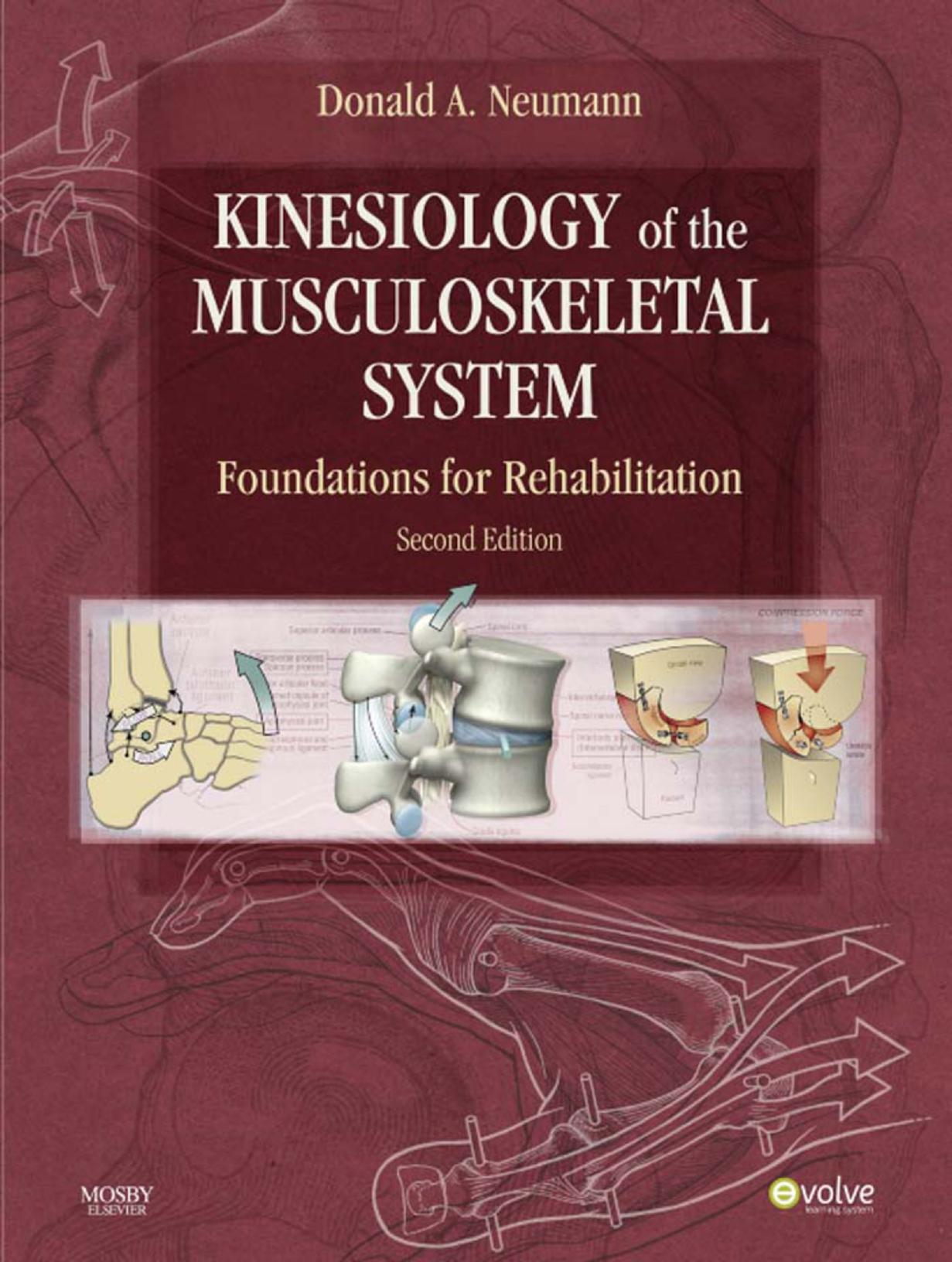 Kinesiology of the Musculoskeletal System_Reprint: Foundations for Rehabilitation by Donald A. Neumann PT PhD FAPTA