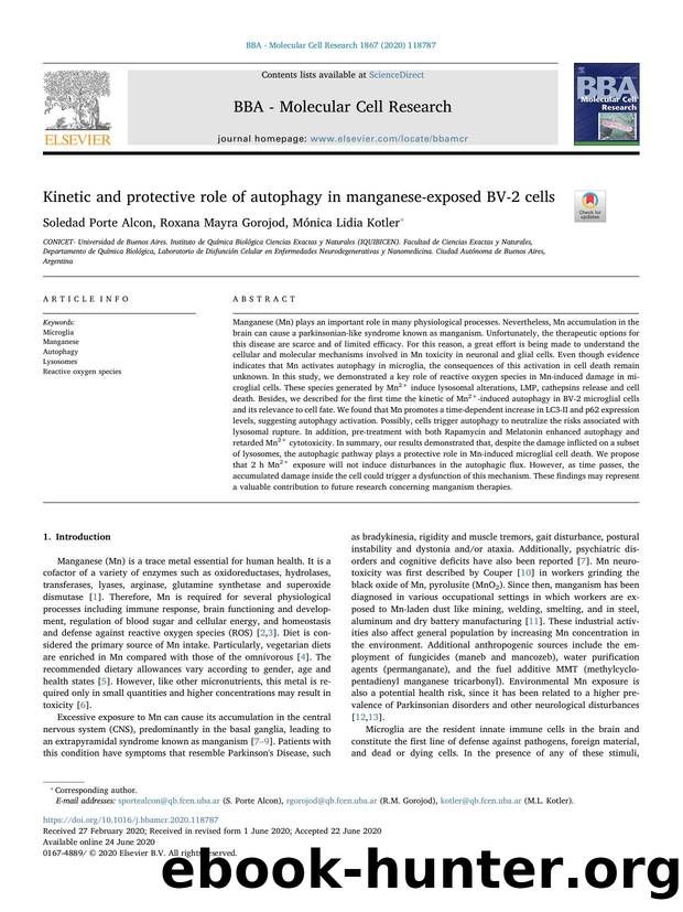 Kinetic and protective role of autophagy in manganese-exposed BV-2 cells by Soledad Porte Alcon & Roxana Mayra Gorojod & Mónica Lidia Kotler