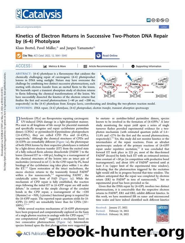Kinetics of Electron Returns in Successive Two-Photon DNA Repair by (6-4) Photolyase by Klaus Brettel Pavel Müller & Junpei Yamamoto