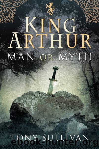King Arthur by Tony Sullivan;