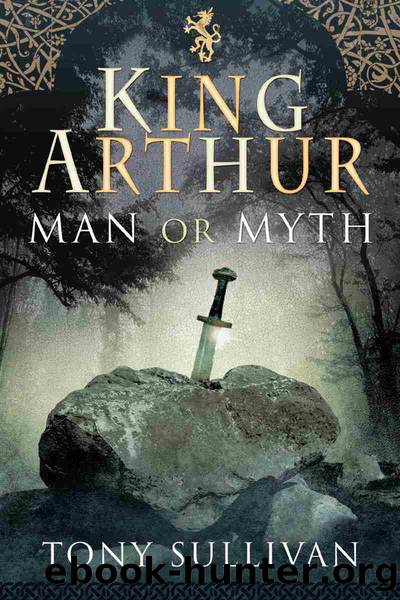 King Arthur by Tony Sullivan