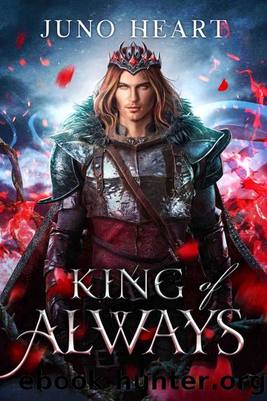 King of Always: A Fae Romance (Black Blood Fae Book 2) by Juno Heart