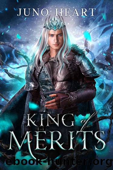 King of Merits: A Fae Romance (Black Blood Fae Book 3) by Juno Heart