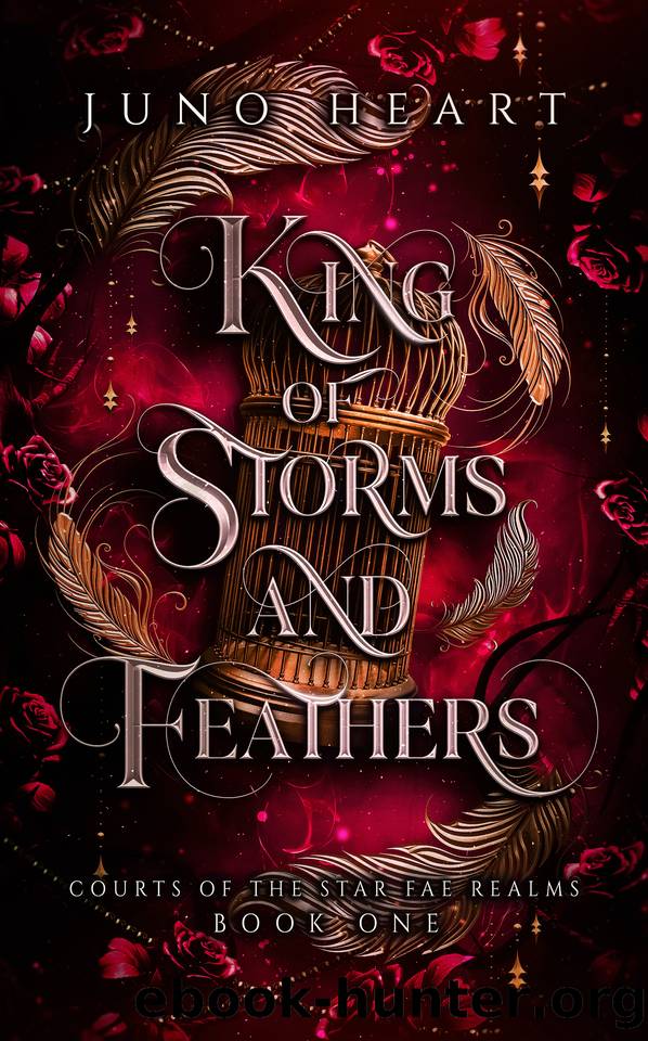 King of Storms and Feathers: A Dark Fae Fantasy Romance (Courts of the Star Fae Realms Book 1) by Juno Heart