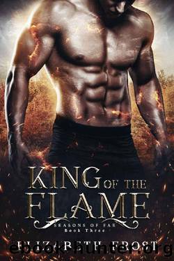 King of the Flame by Elizabeth Frost