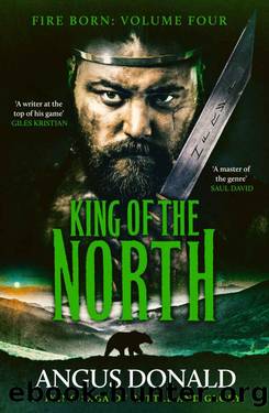 King of the North: A Viking saga of battle and glory (Fire Born Book 4) by Angus Donald