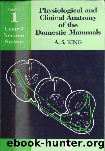 King- Physiological & Clinical Anatomy of the Domestic Mammals, Central Nervous System by Unknown