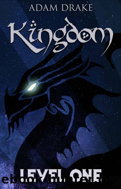 Kingdom Level One (LitRPG: Kingdom Series Book 1) by Adam Drake