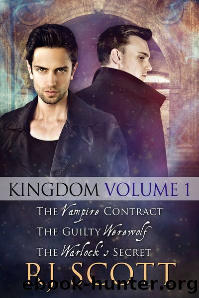 Kingdom Volume 1 by RJ Scott