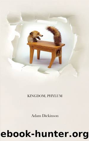 Kingdom, Phylum by Adam Dickinson