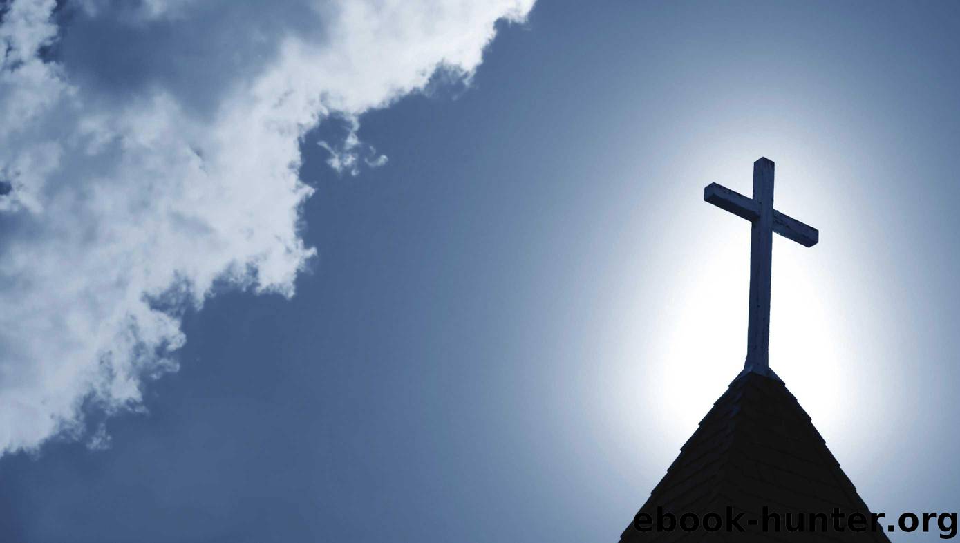 Kingdoms Apart: Engaging the Two Kingdoms Perspective by Ryan C McIlhenny & Editor