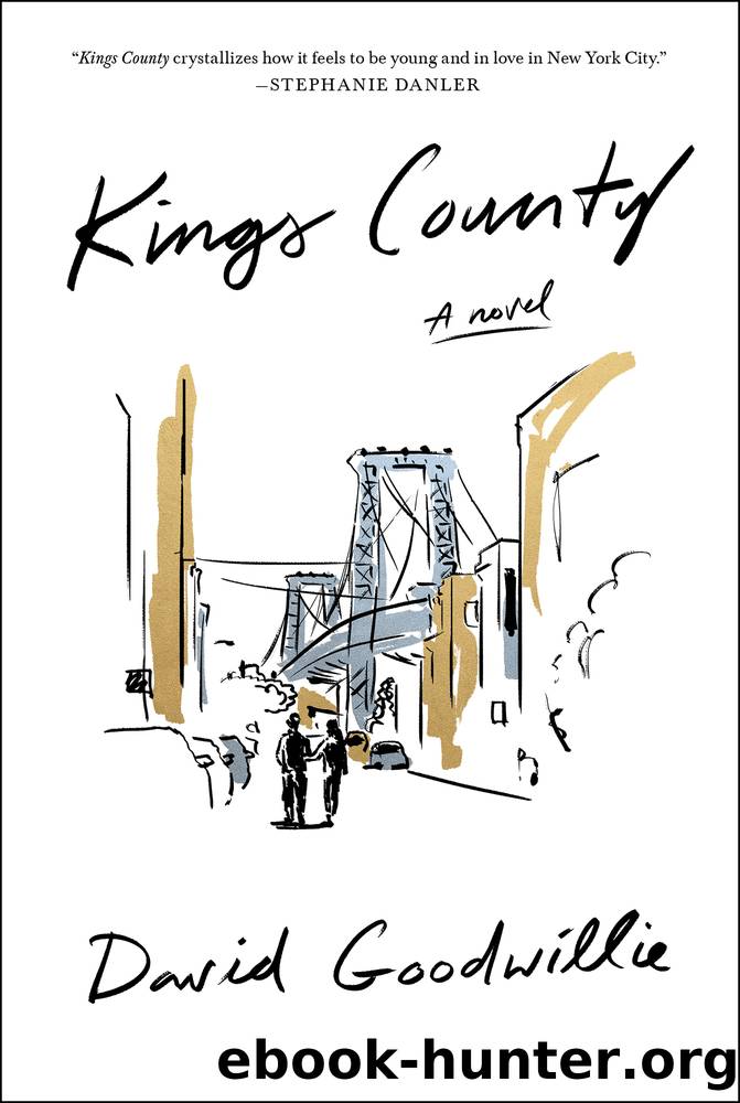 Kings County by David Goodwillie
