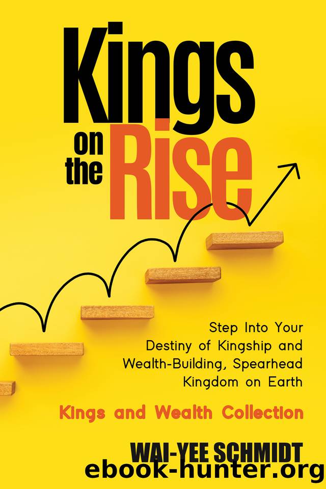 Kings on the Rise: Step Into Your Destiny of Kingship and Wealth-Building, Spearhead Kingdom on Earth by Schmidt Wai-yee