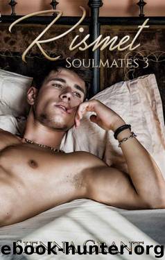 Kismet: Soulmates 3 by Sienna Grant