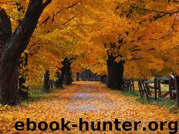 Kiss of the Highlander - [Highlander 04] by Karen Marie Moning