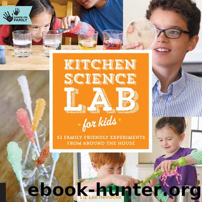Kitchen Science Lab for Kids by Liz Lee Heinecke