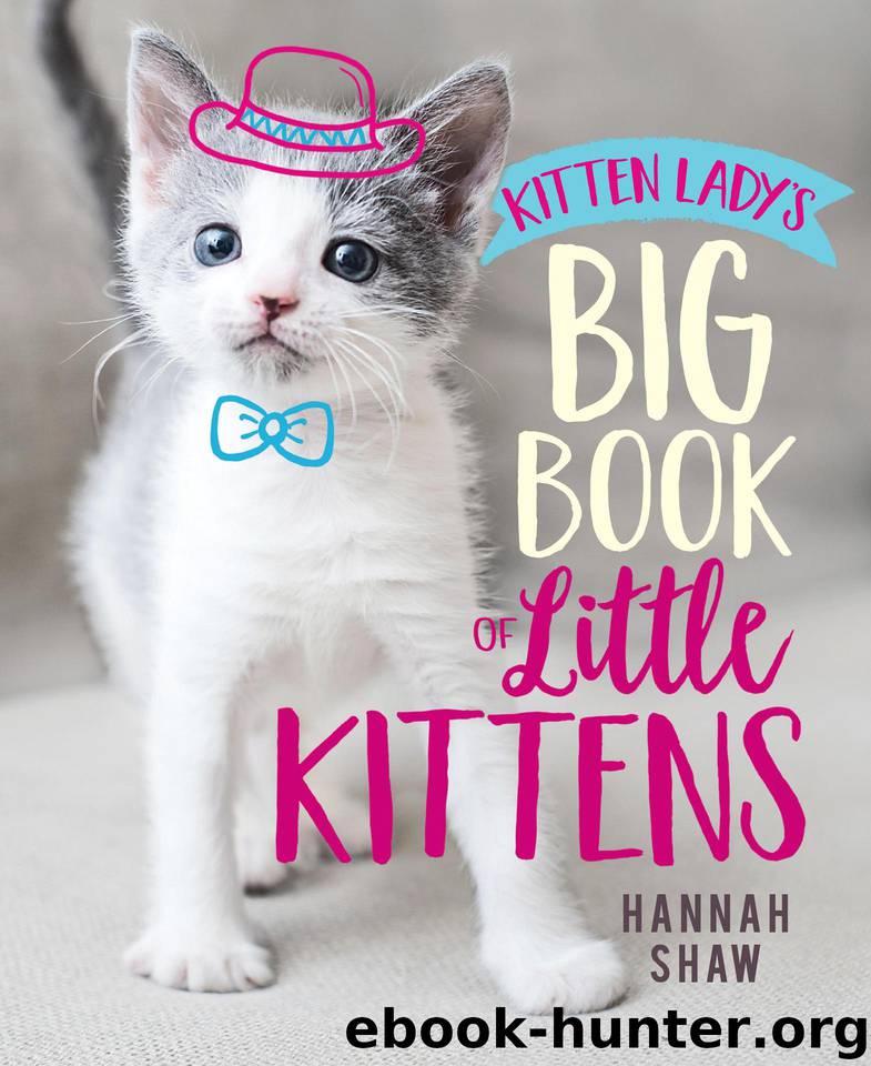 Kitten Lady's Big Book of Little Kittens by Hannah Shaw