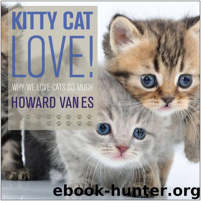 Kitty Cat Love. Why we love cats so much! by VanEs Howard