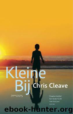 Kleine bij by Chris Cleave