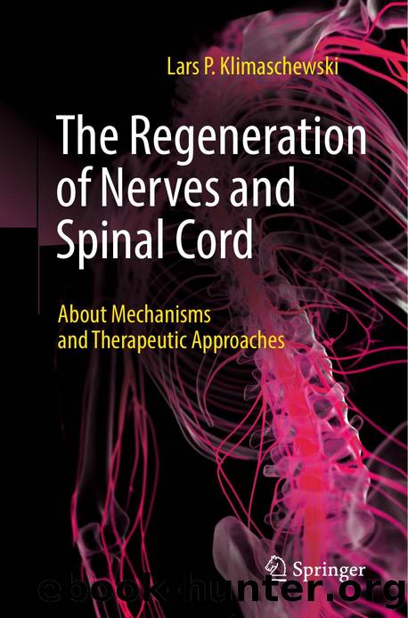 Klimaschewski L The Regeneration of Nerves and Spinal Cord...2024 by Unknown