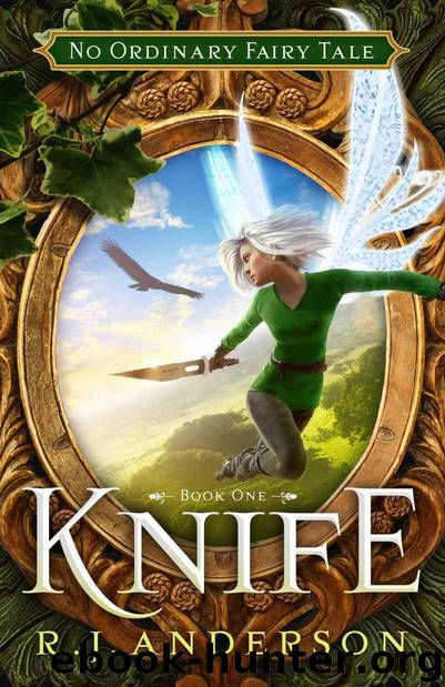 Knife (Not Just Another Fairy Tale Book 1) by R.J. Anderson