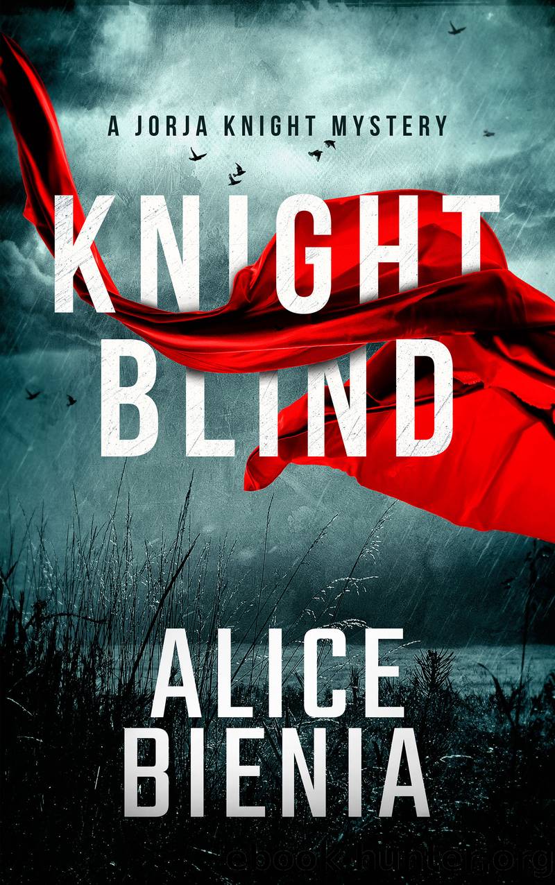 Knight Blind by Alice Bienia