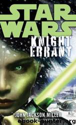 Knight Errant by John Jackson Miller