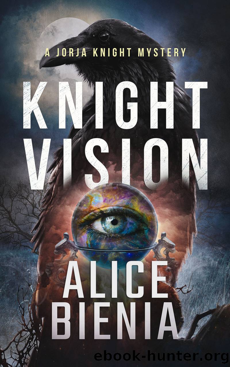 Knight Vision by Alice Bienia