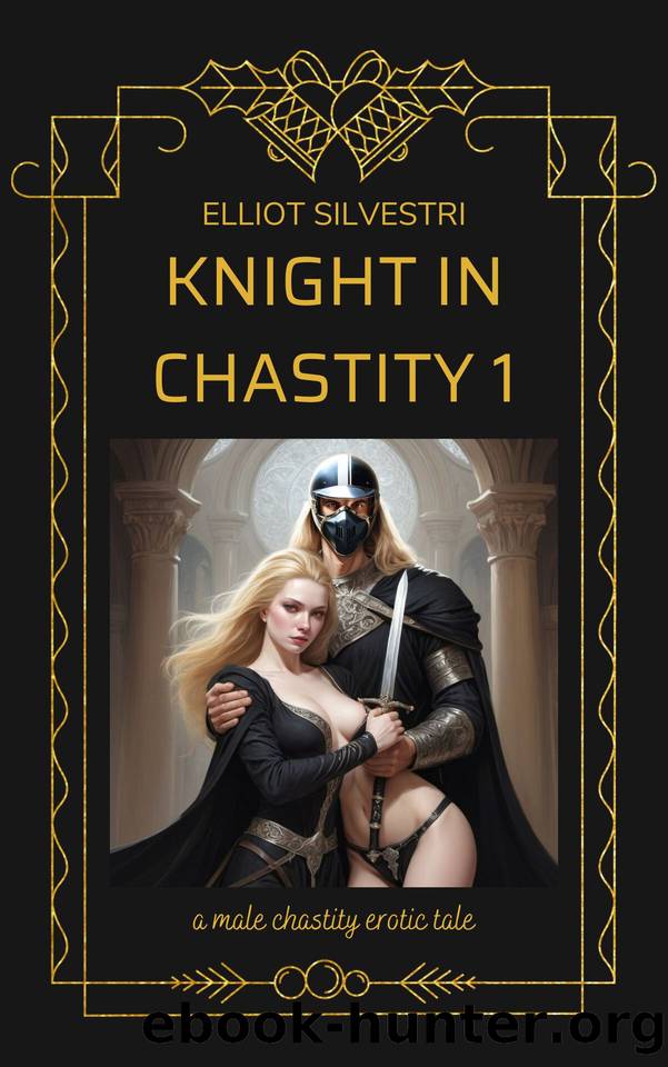 Knight in Chastity 1: A Male Chastity Erotic Tale by Silvestri Elliot