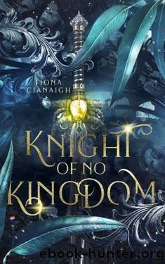 Knight of no Kingdom by Fiona Cianaigh