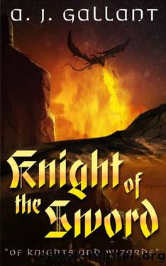 Knight of the Sword by A.J. Gallant