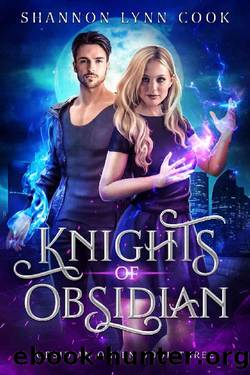 Knights of Obsidian (Obsidian Queen Book 3) by Shannon Lynn Cook