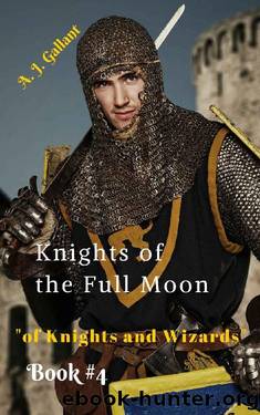 Knights of the Full Moon by A.J. Gallant