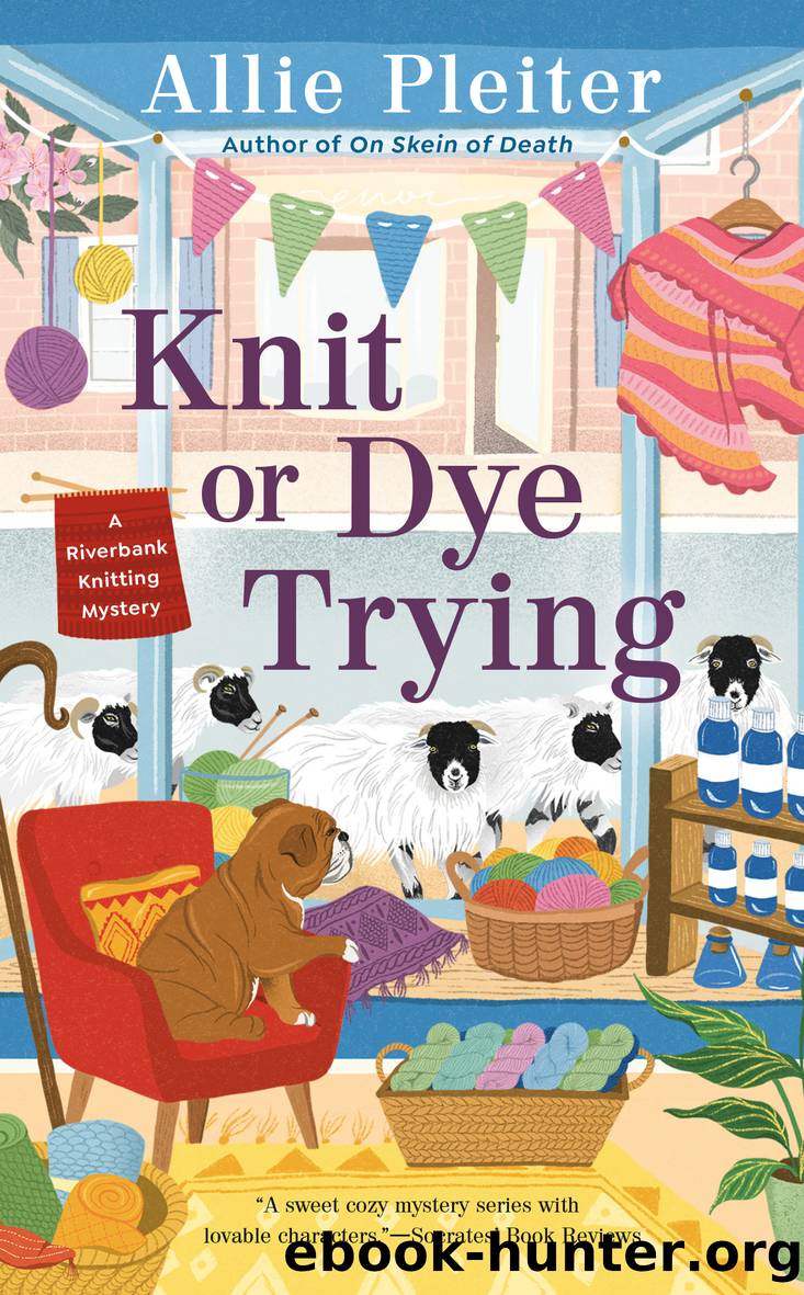 Knit or Dye Trying by Allie Pleiter
