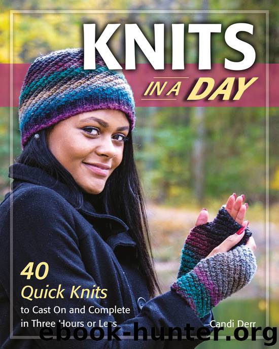 Knits in a Day by Candi Derr
