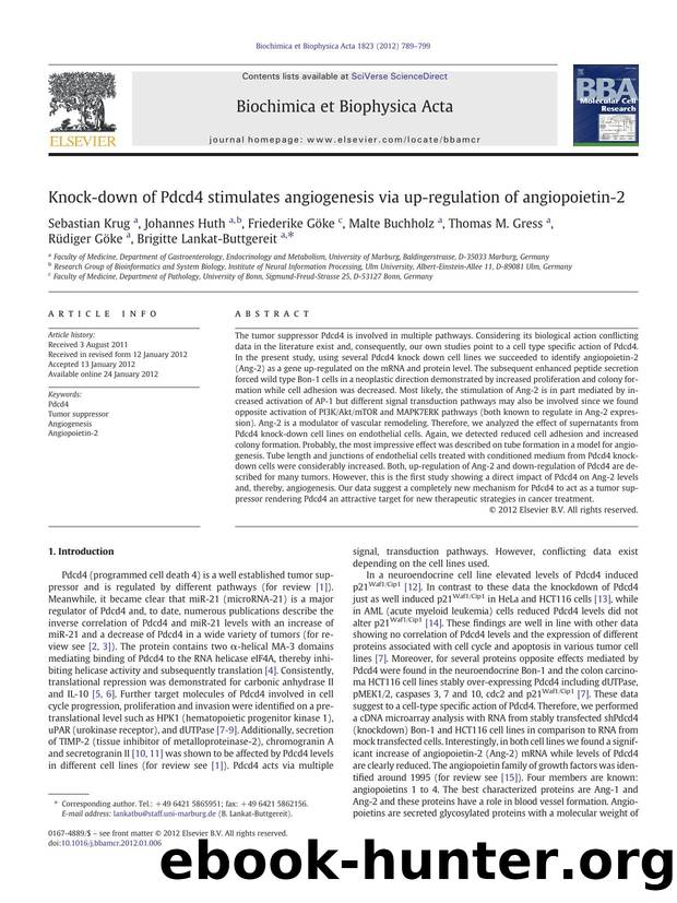 Knock-down of Pdcd4 stimulates angiogenesis via up-regulation of angiopoietin-2 by unknow