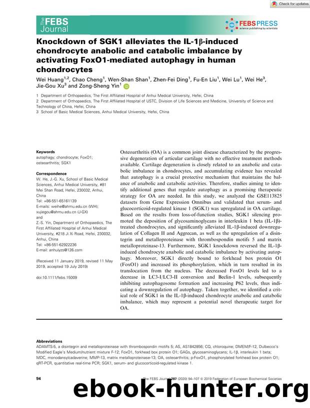 Knockdown of SGK1 alleviates the ILâ1Î²âinduced chondrocyte anabolic and catabolic imbalance by activating FoxO1âmediated autophagy in human chondrocytes by Unknown
