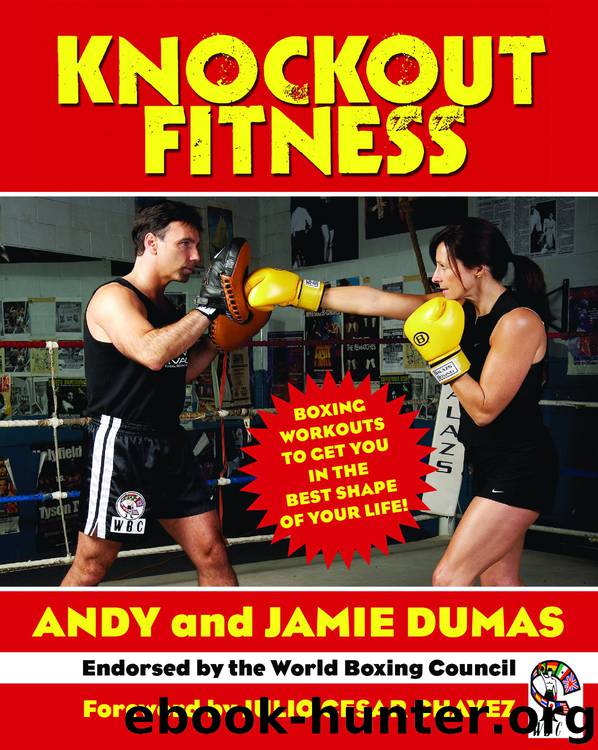 Knockout Fitness by Andy Dumas