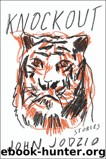 Knockout by John Jodzio