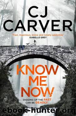 Know Me Now (The Dan Forrester series) by CJ Carver