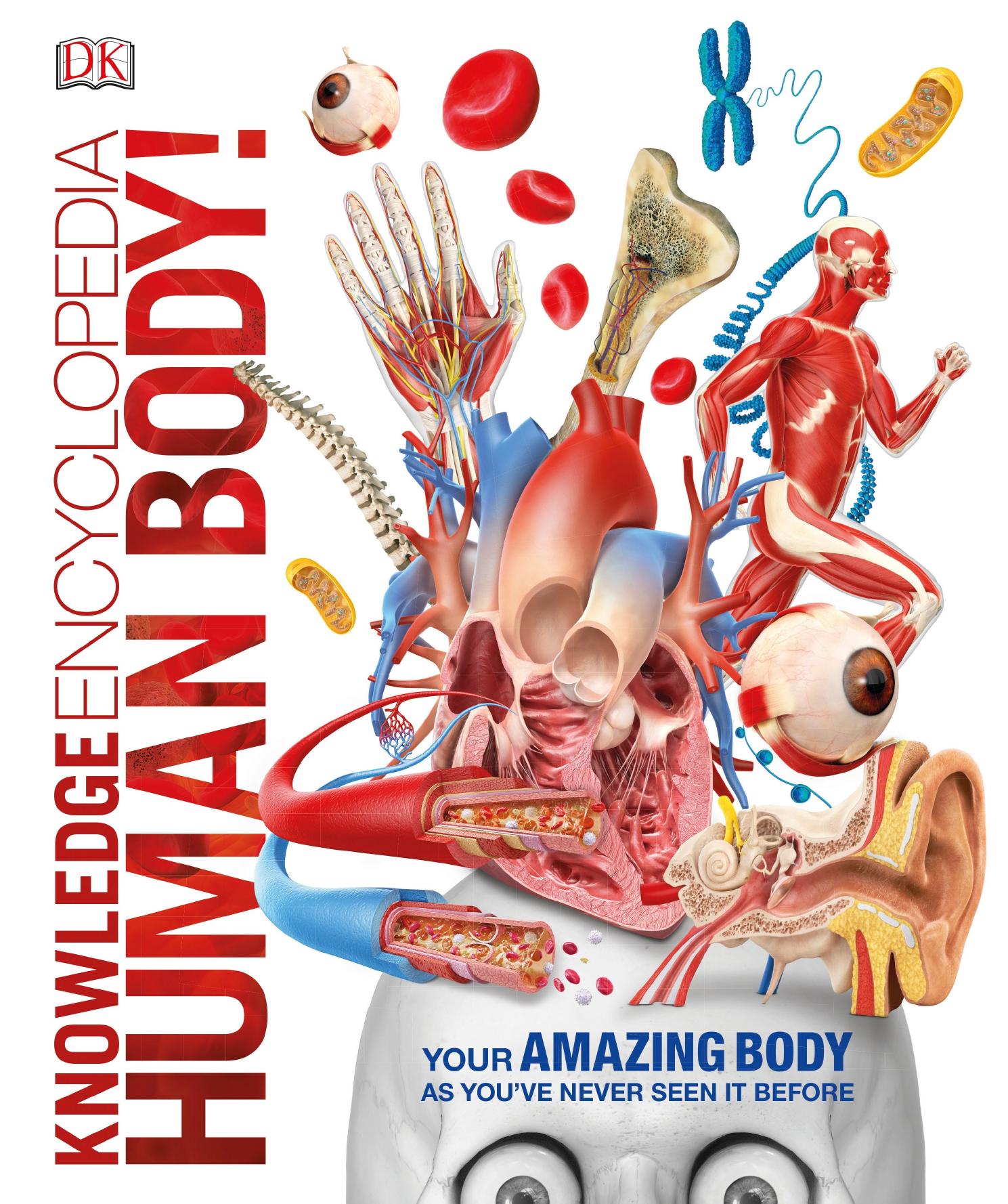 Knowledge Encyclopedia Human Body! by Dorling Kindersley