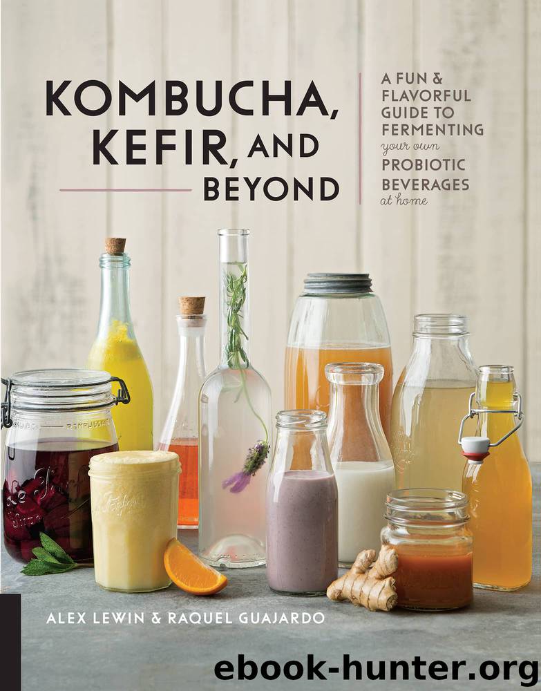 Kombucha, Kefir, and Beyond by Alex Lewin