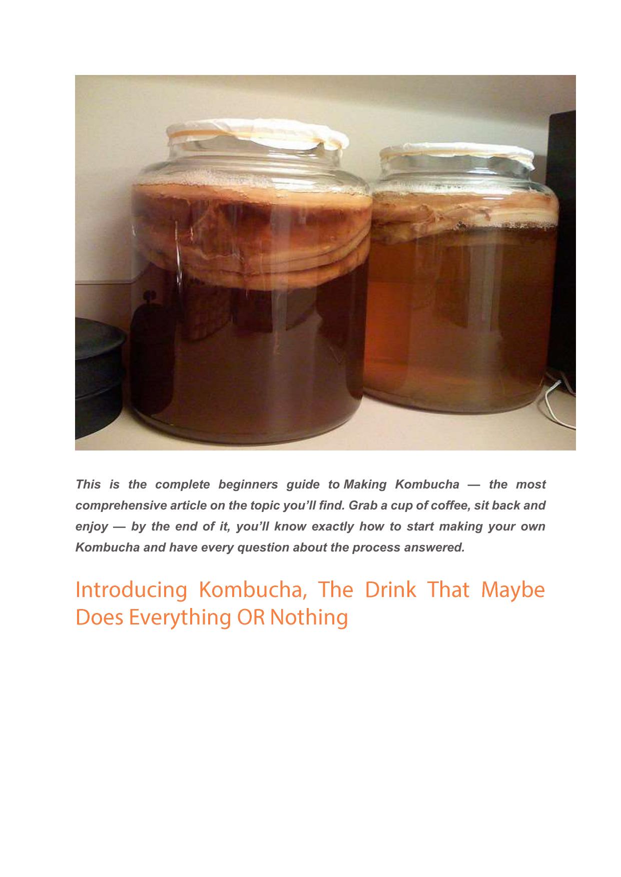 KombuchaHome-Complete beginners guide by Dane